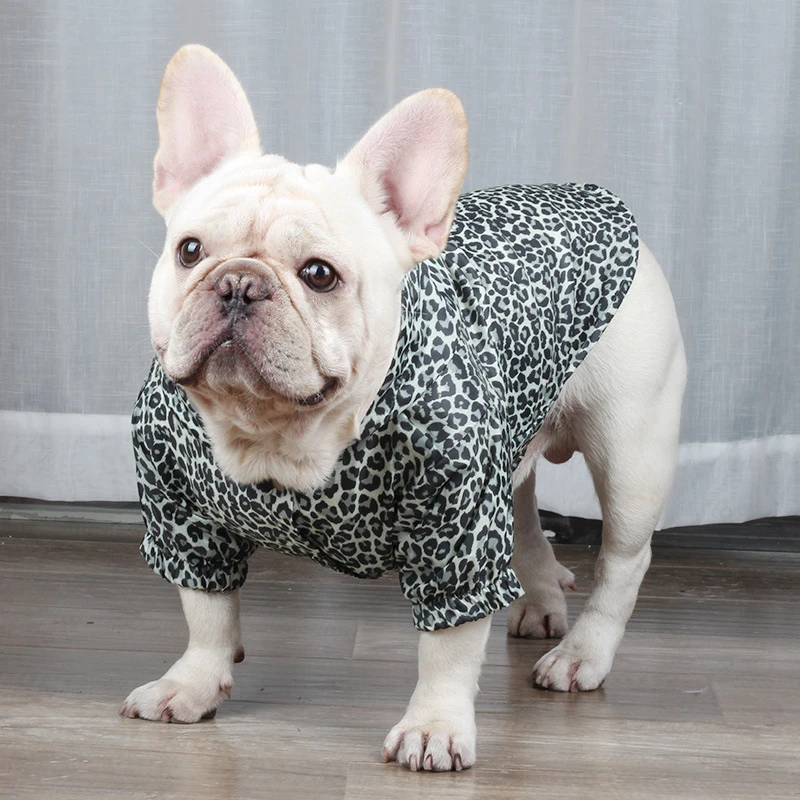 leopard french bulldog
