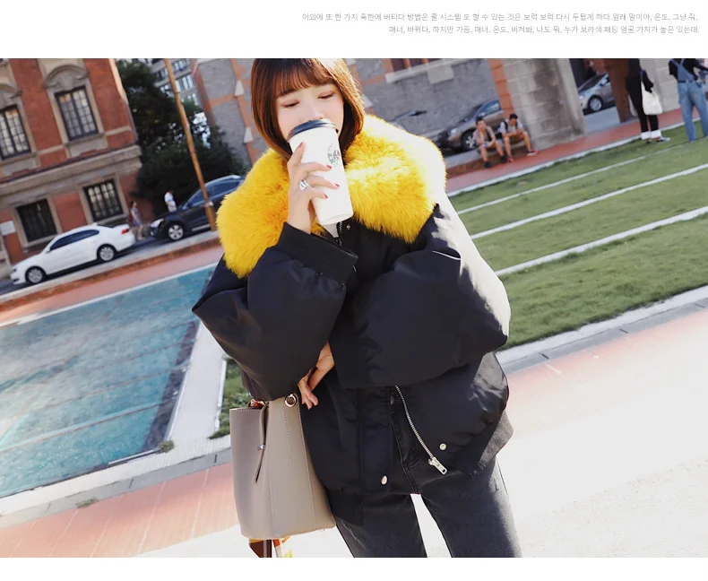 Korea winter woman duck down coat short jacket for ladies bat sleeves with fox fur collar grey white black green big size