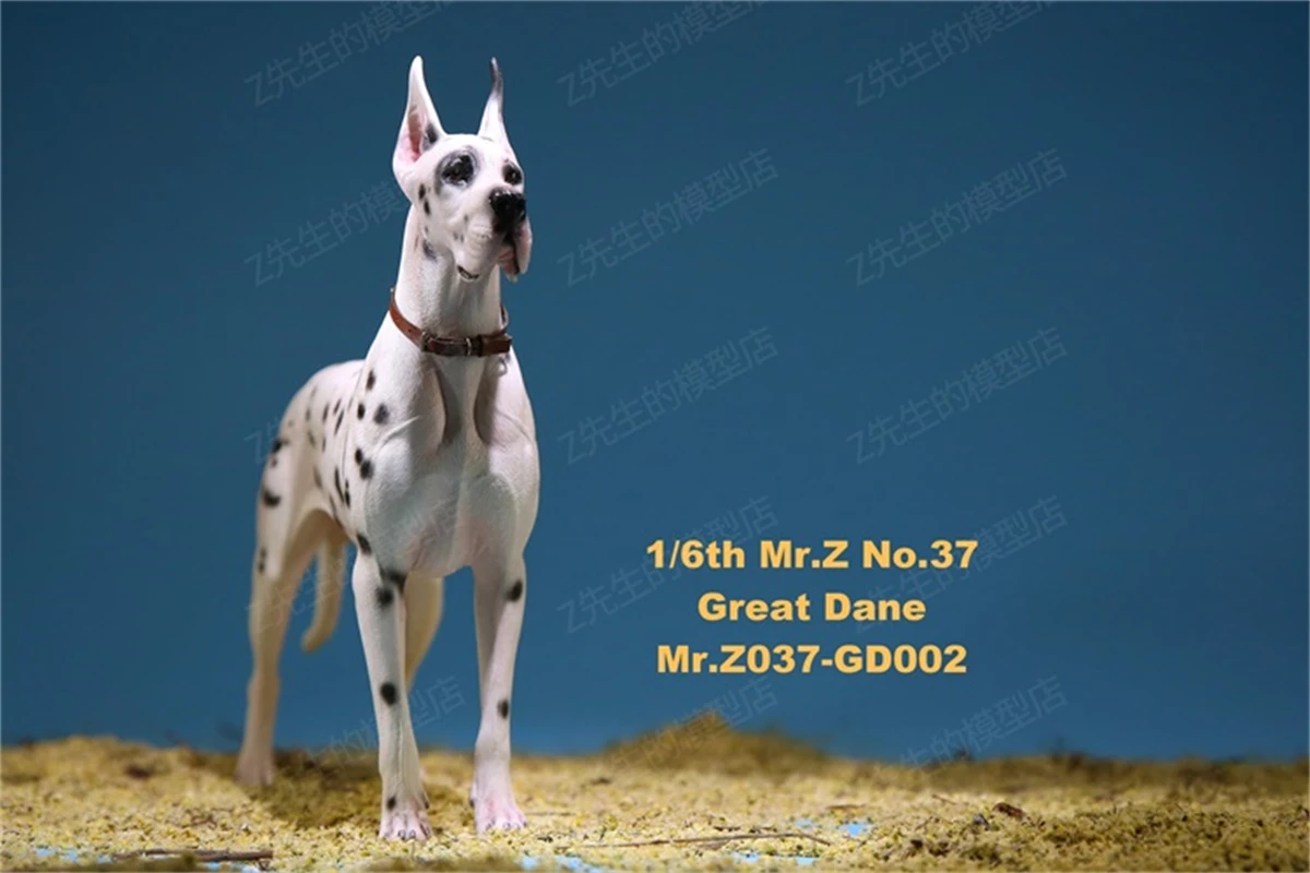 Mr.z studio 1:6動物フィギュア,ドイツのグレートデーン犬