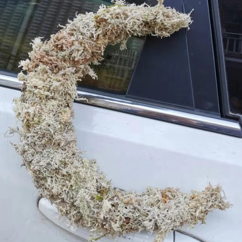 微信图片_20191026110726