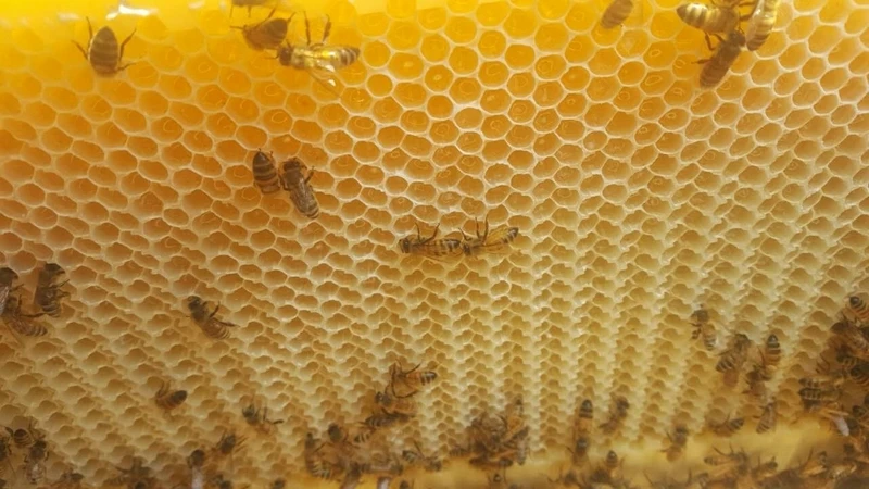 H56976d52d54041f4ad69c4fe371e00b4C