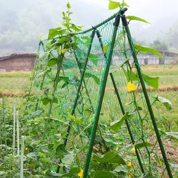 

1.8x0.9m Garden Green Durable Nylon Trellis Netting Mesh Support Climbing Vine Plants Support Trellis Net Garden Tool