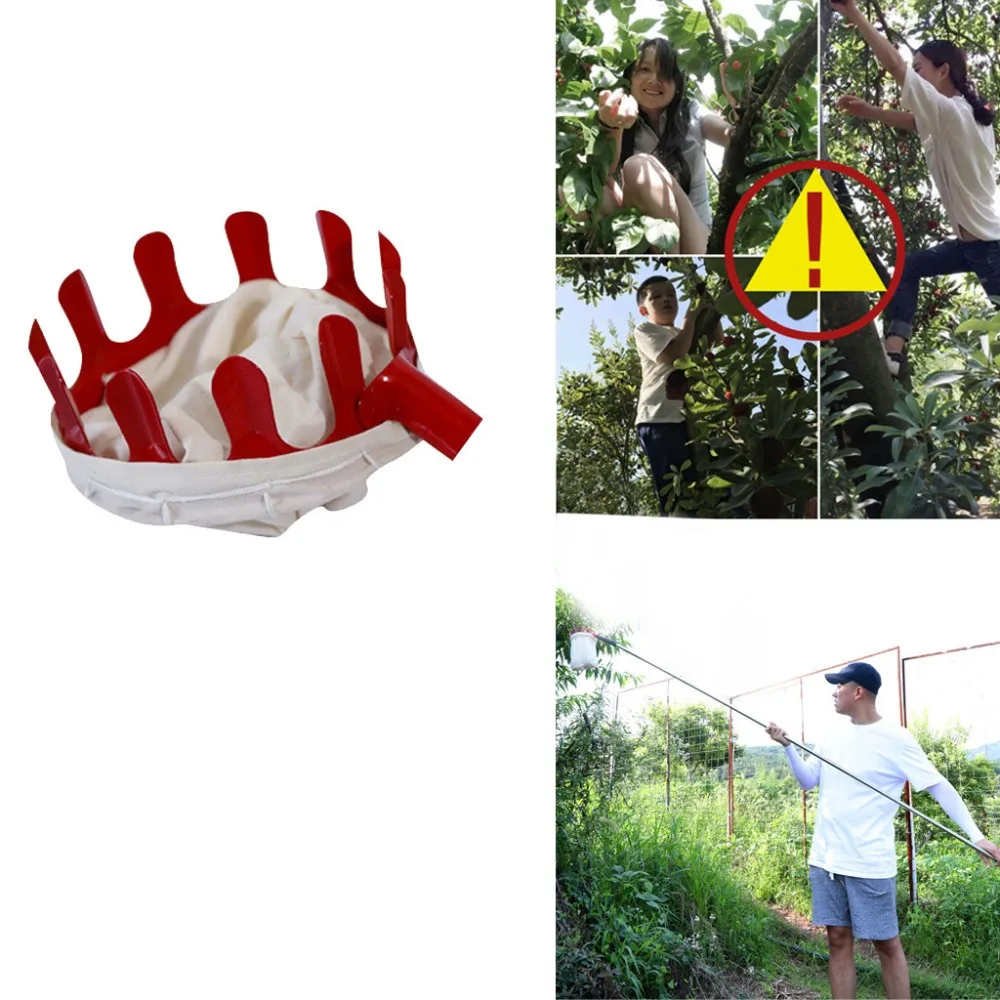 1 - ZZP90819821_1056329145845329333