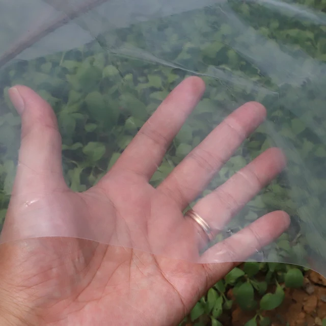Szélesség 2 M Vastagság 0,04 Mm Hdpe Üvegházhatású Film Átlátszó Mezőgazdasági Növények Meleg Borítás Esőálló Kerti Támogatás - Image 4