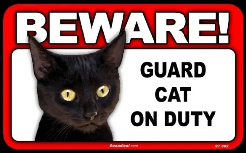 

For BEWARE Guard Cat on Duty Sign Black Cat