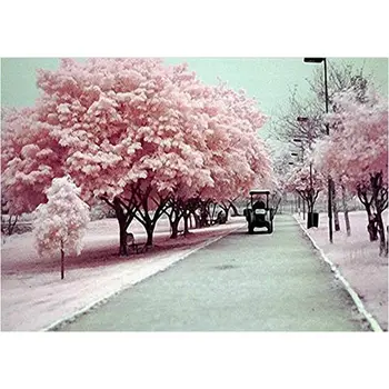 

Fashion-DIY Unframed Digital Oil Painting by Numbers Autumn Trees Pattern On Cloth Print Decoration Art Paintings for Home Livin