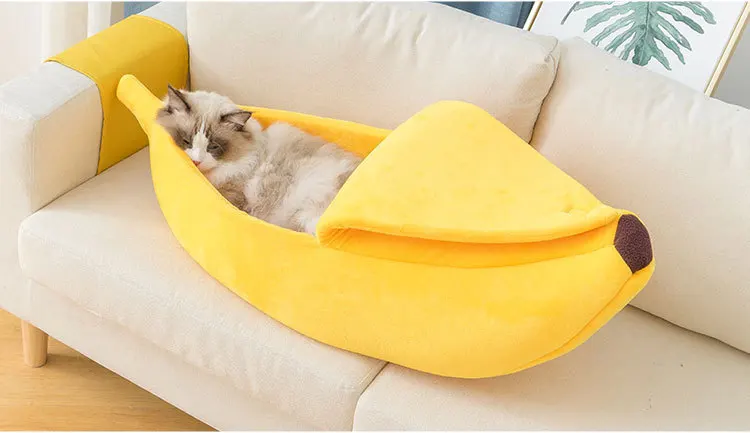 12633597274_2079131725