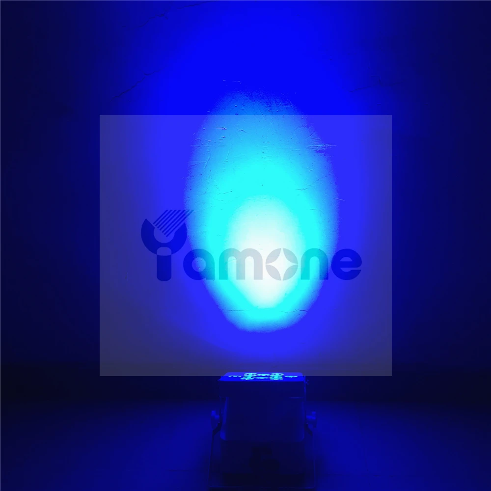 12pcs battery par 30