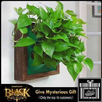 

Creative Decorative Hanging Pots Hydroponic Wooden Flower Box Photo Frame Flower Pot Holder Vertical Garden Wall Plastic Planter