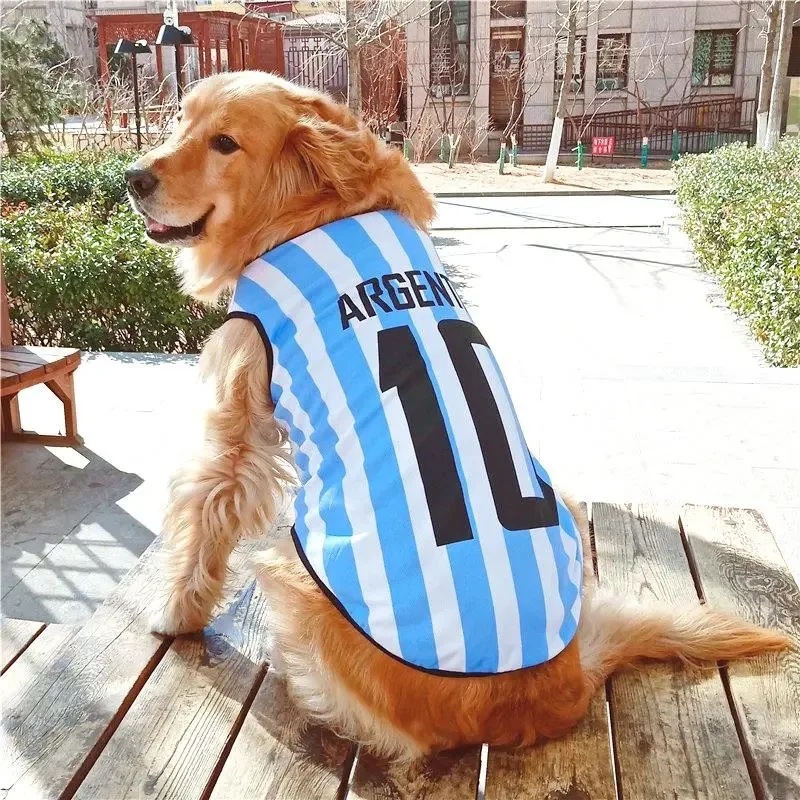 Hbe9d972e6e444f9ba8f29035ce51e0aeP.jpg?width=800&height=800&hash=1600