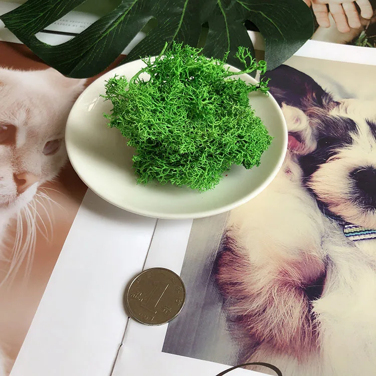 5g False moss Винтажная Европейская принцесса металлическое стекло коробка для хранения ювелирных изделий с крышкой Романтика свадебное кольцо коробка Рождественский подарок для гостей - Цвет: 5g False moss