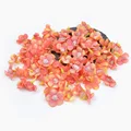 Darkorange daisy
