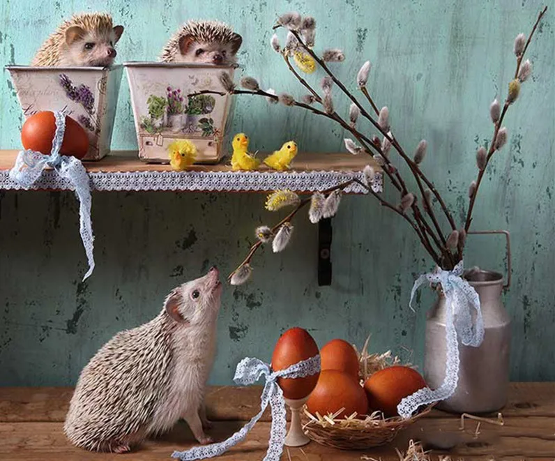 HTB1q7tBdPgy_uJjSZSyq6zqvVXan_