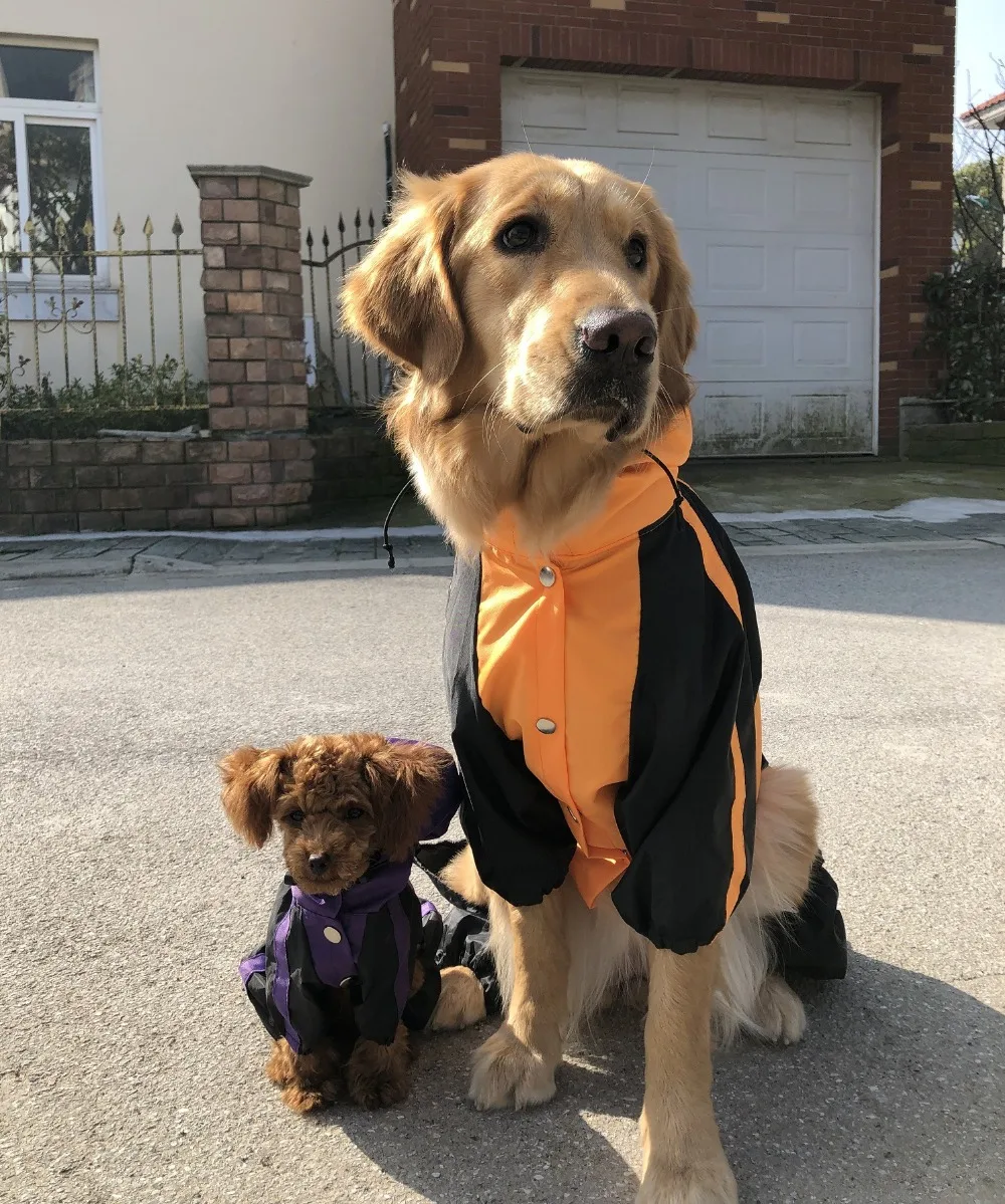 10687933743_879832545