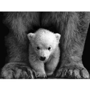 

5d DIY Diamond Painting Kits Full Square Round Polar Bear Picture Embroidery Home Decor Cross Stitch Little Bear Pattern Art