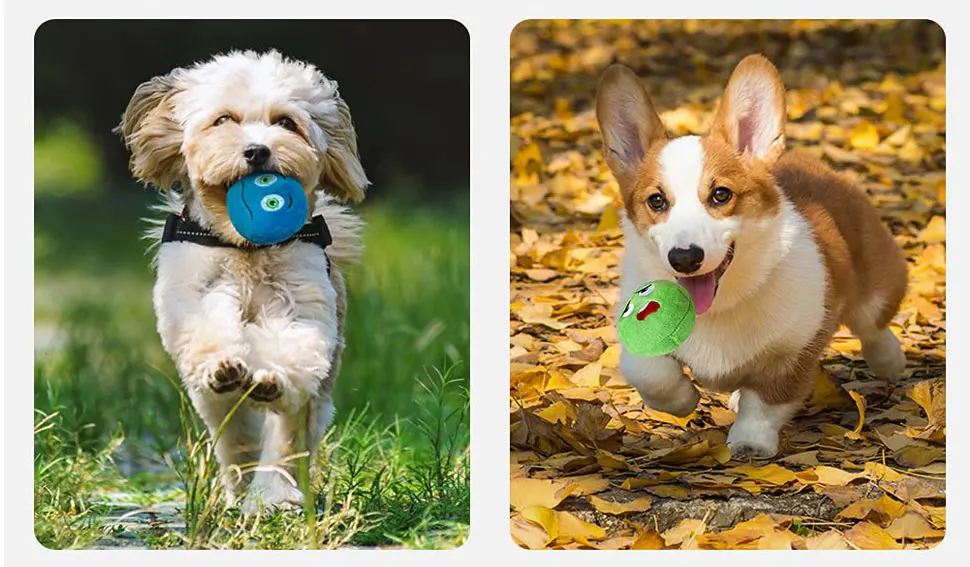 Hbea9a1919d374ef9b84ff3a0207da0c2B