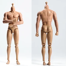 Figura DE ACCIÓN DE TQ230, cuerpo masculino musculoso con cuello, escala 1/6, disponible
