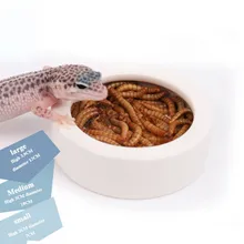 Принадлежности для кормления Mealworm Meal червь блюдо миска умное блюдо миска для кормления восковая червь блюдо