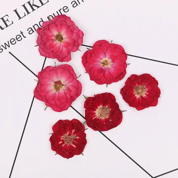 

30pcs/bag Beautiful rose dried flower phone case diy pressed flower material