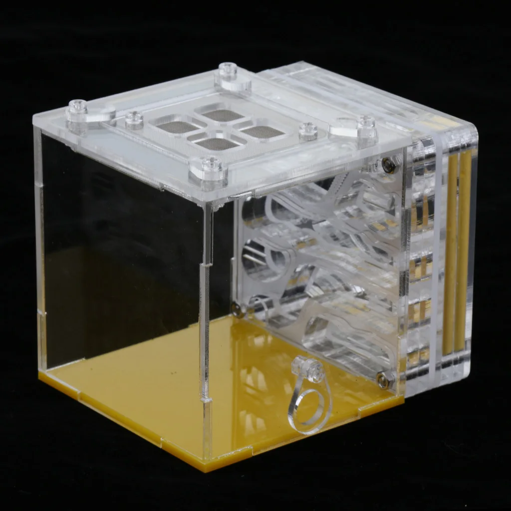 Ant Insect Pet Castle House Farms Feed Transparent Terrarium Display Box Kids Ecological Educational Toys  ( Square )