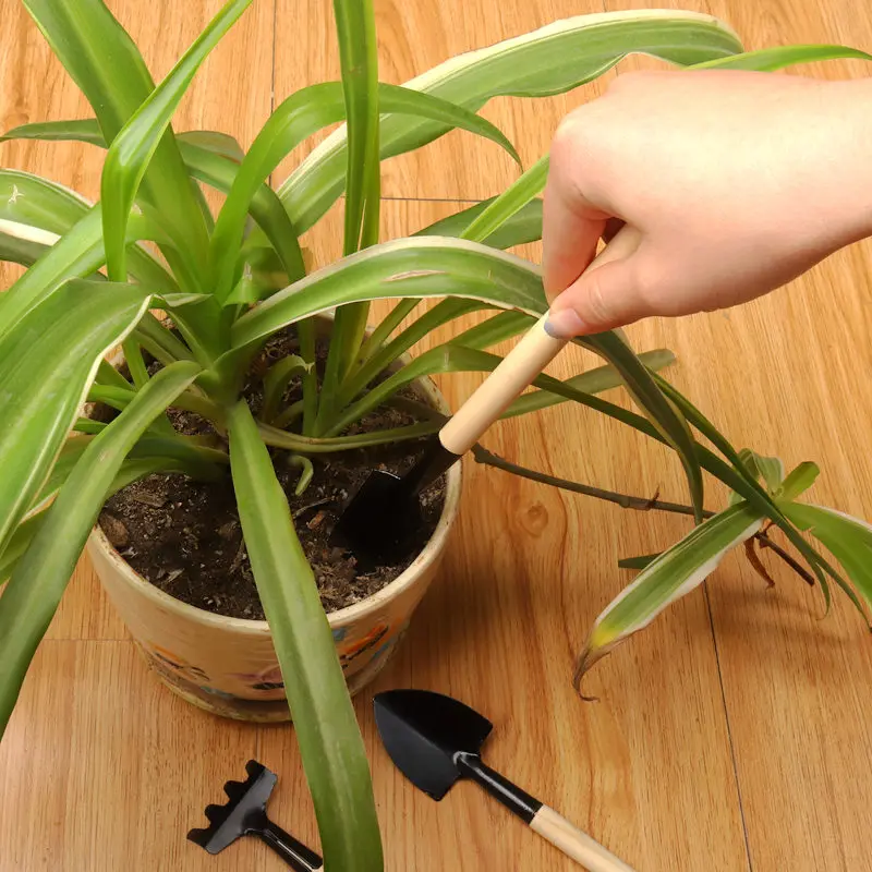 1set Gardening Tools Plants MiNi Dig Soil Friable Shovel Scorpion Rakes Wooden Handle Light Easy Carry for Gaden Bonsai