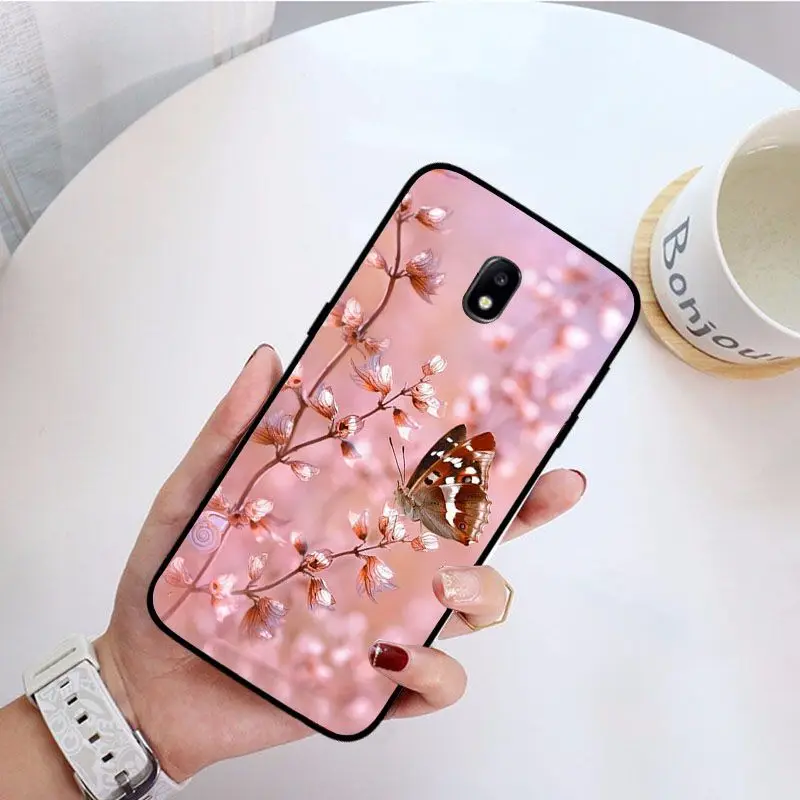 Red butterfly on white roses flower