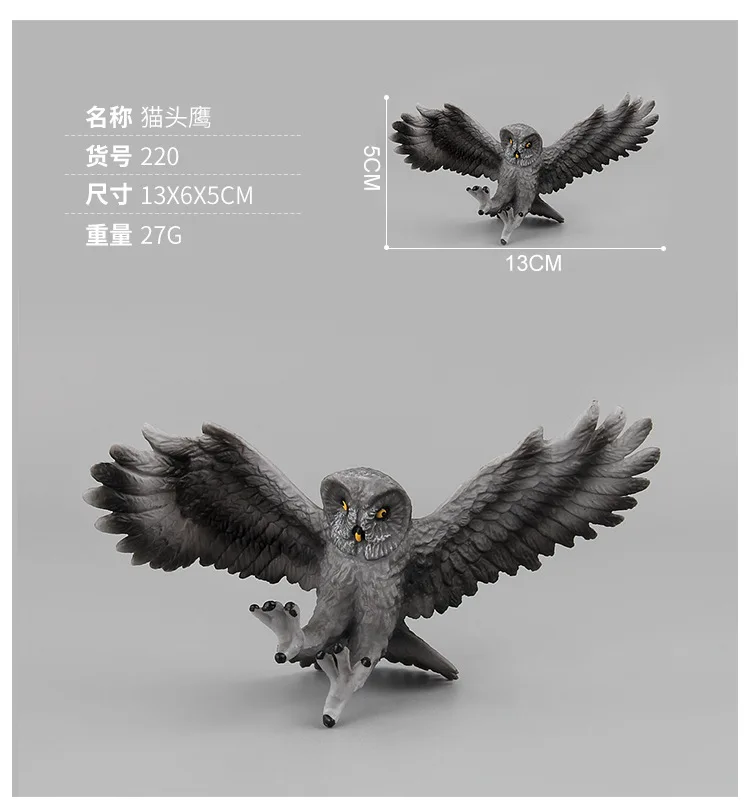 9136936465_920392923