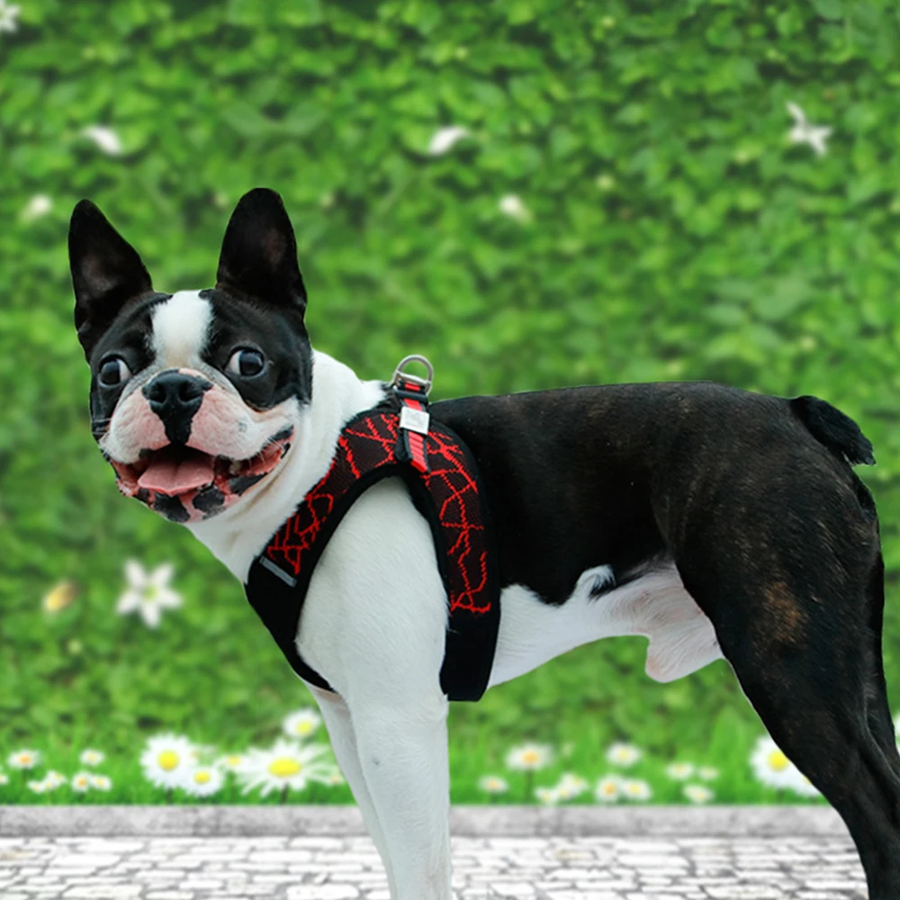 Мягкая шлейка-жилетка Pet Sport Haulage Rope для питомцев на прогулке шлейка-жилетка Светоотражающая стабильность структура