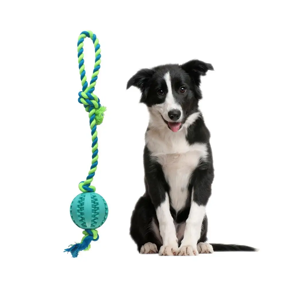 Puppy Teething Chew Toys Interactive Dog Toy Treat Boredom Food