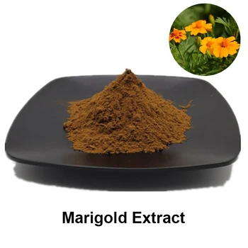 

marigold Extract Anti - inflammatory ulcer antibacterial antibacterial sedation