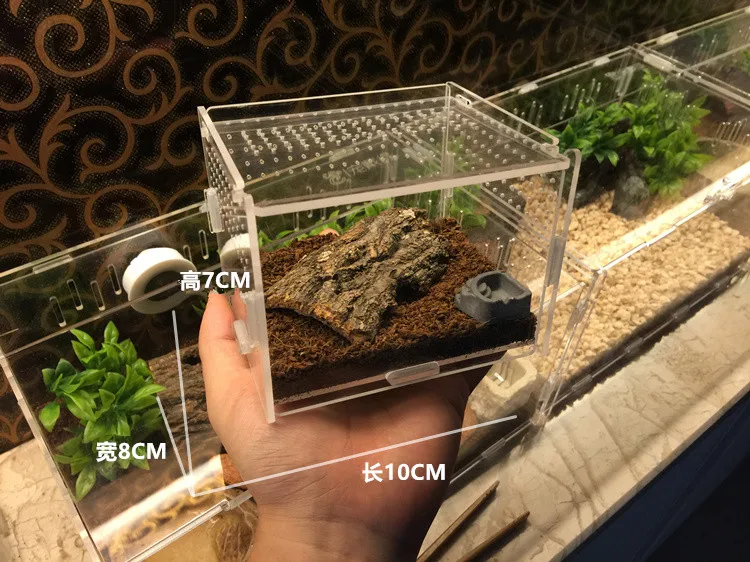 Для Улитка акрилового стекла коробка ваза мини пейзаж Сказочный Сад DIY Террариум