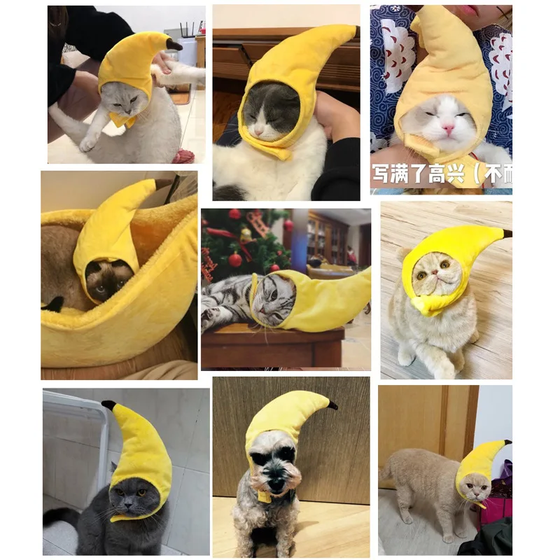 12802121813_1376810279