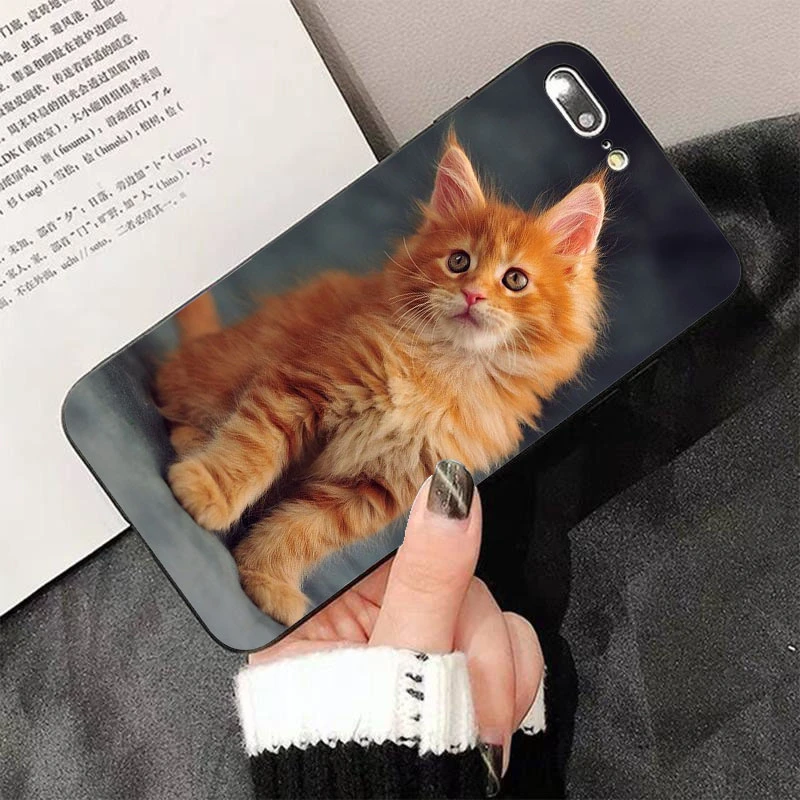 Чехол для телефона с изображением оранжевого кота Iphone 6 6s 6splus 7 8 7P 8P чехол животных