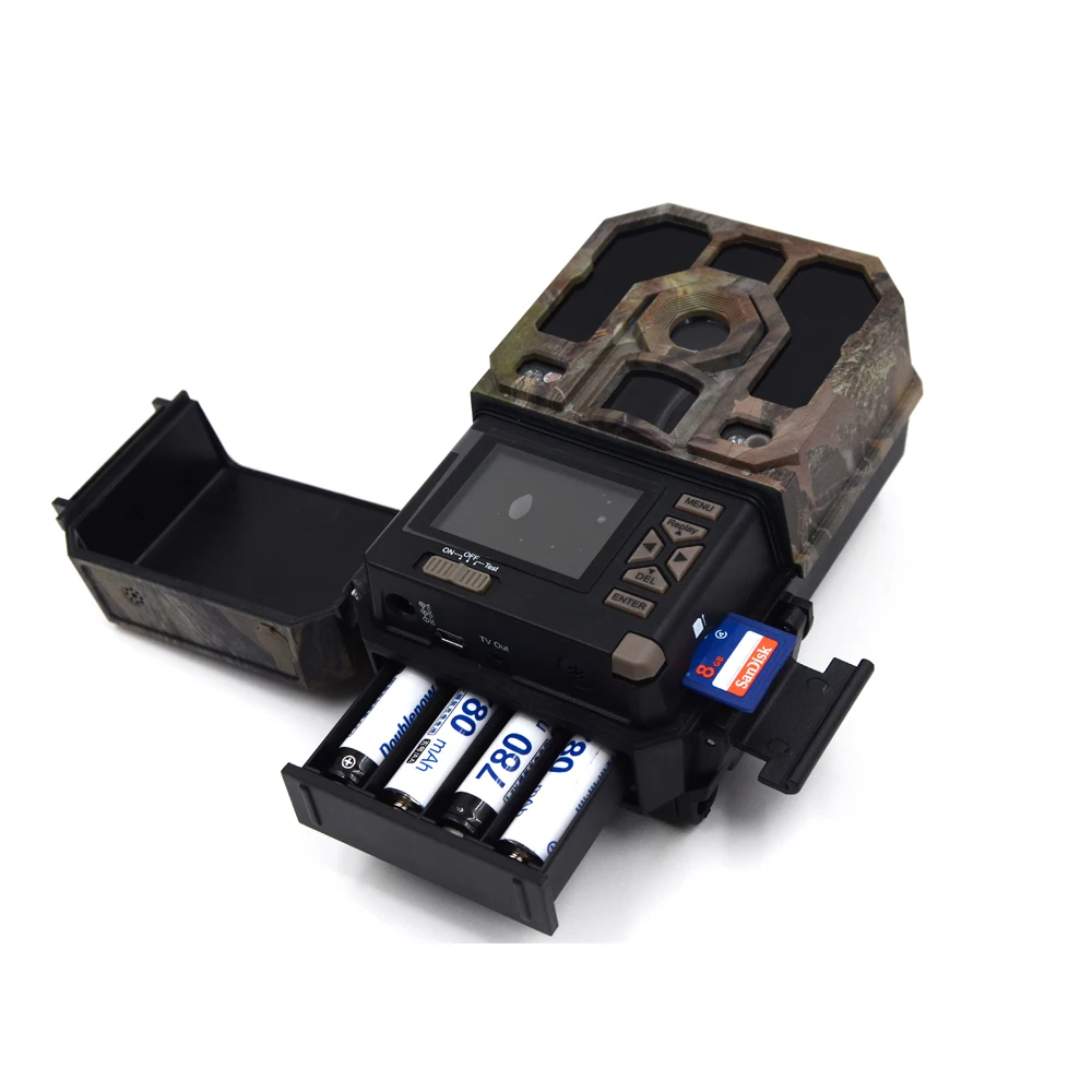 battery & memory card in