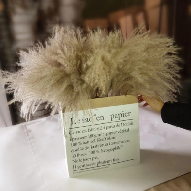 12259566369_1793310583