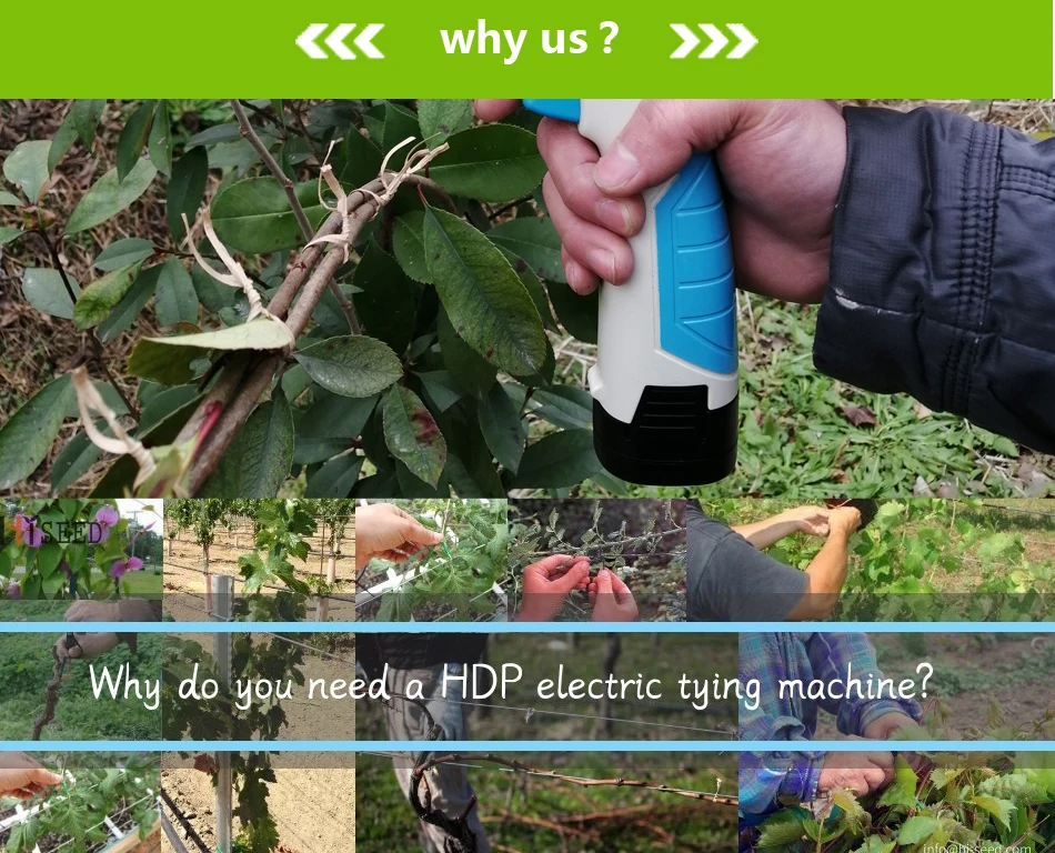 Машина для завязывания фруктовых деревьев, беспроводная литиевая батарея, электрическая функция быстрой зарядки, новинка, коминмашина, не легко повредить деревья
