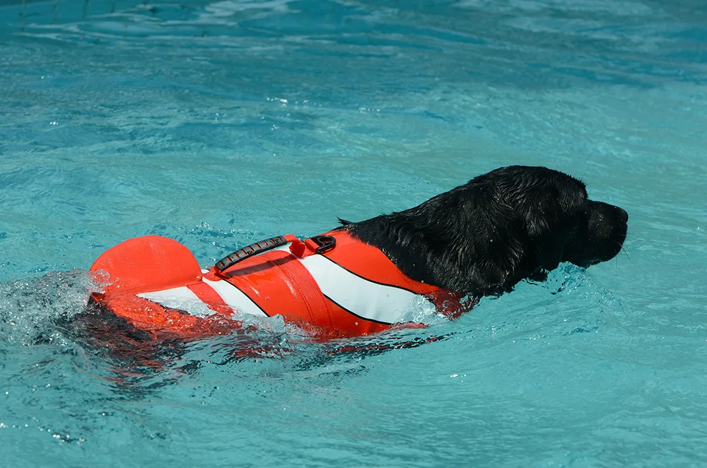 9010380295_1397814943