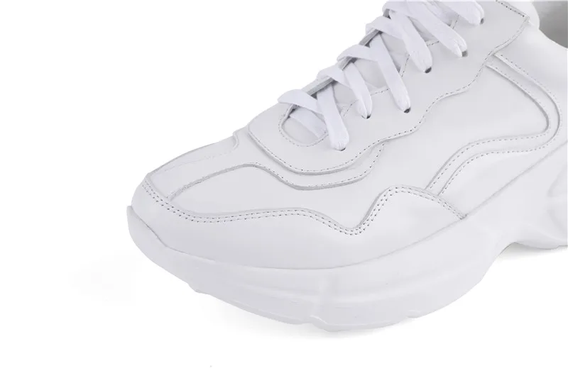 HEMA5750