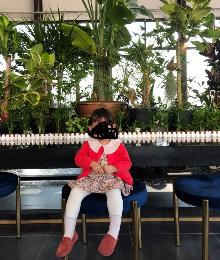 b (11)