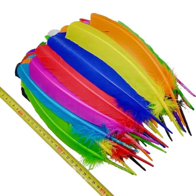 Piume Naturali Fagiano E Tacchino - Set 40 Piume, 4 Stili, Per DIY E Decorazioni