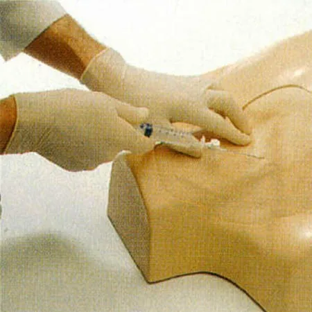L69Acentral venous catheterization simulato (8)