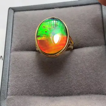 

B216 Fine Jewelry Real 925 Steling Silver s925 100% Natural Ammonite Gemstones Canada Origin Female Fine Rings Christmas Gift