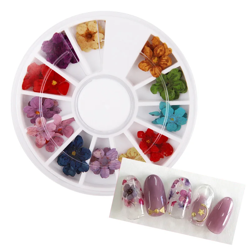 1 Wheel Natural Dried Flowers Nail Art Decoration 3D Pressed Plum blossom Flower Slider Sticker Polish Manicure Nail Accessories