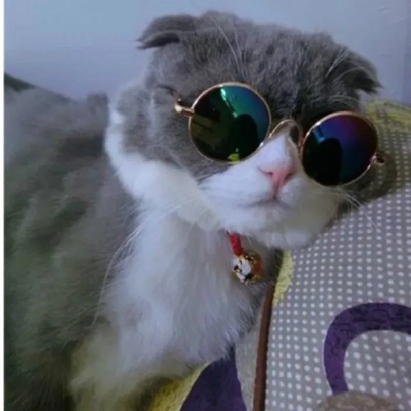SUEF 1 Uds Venta caliente perro y gato gafas de sol de los Niños Accesorios de fotografía lindo para mascotas fresca accesorios @ 02