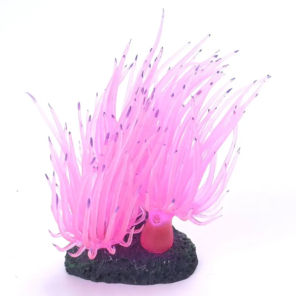 K81512727438_P1280901