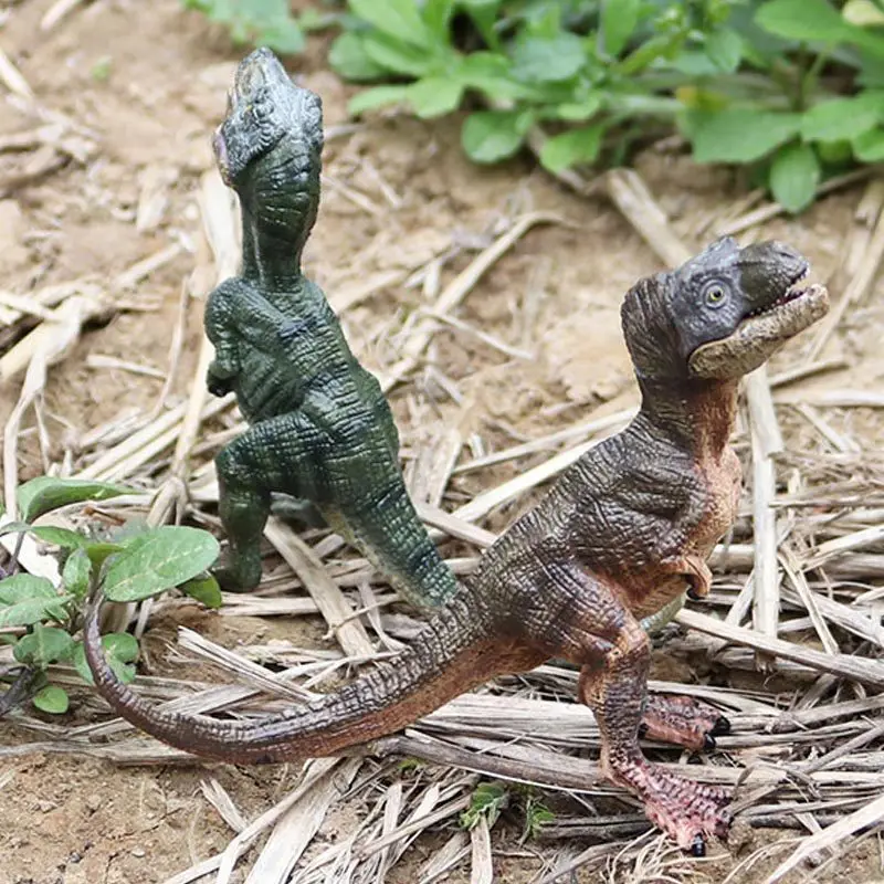 Conjunto de figuras de brinquedo de dinossauro, imitação de pequeno  zoológico, tiranossauro rex asas de dragão, canguru longo, modelo de  ornamentos de plástico - AliExpress