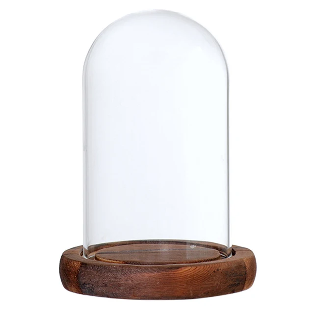 5Db 7X12Cm Átlátszó Üveg Kupola Fa Alapjal Otthoni Esküvői Party Középpontban Kijelző Diy Dekoráció Barna - Image 4