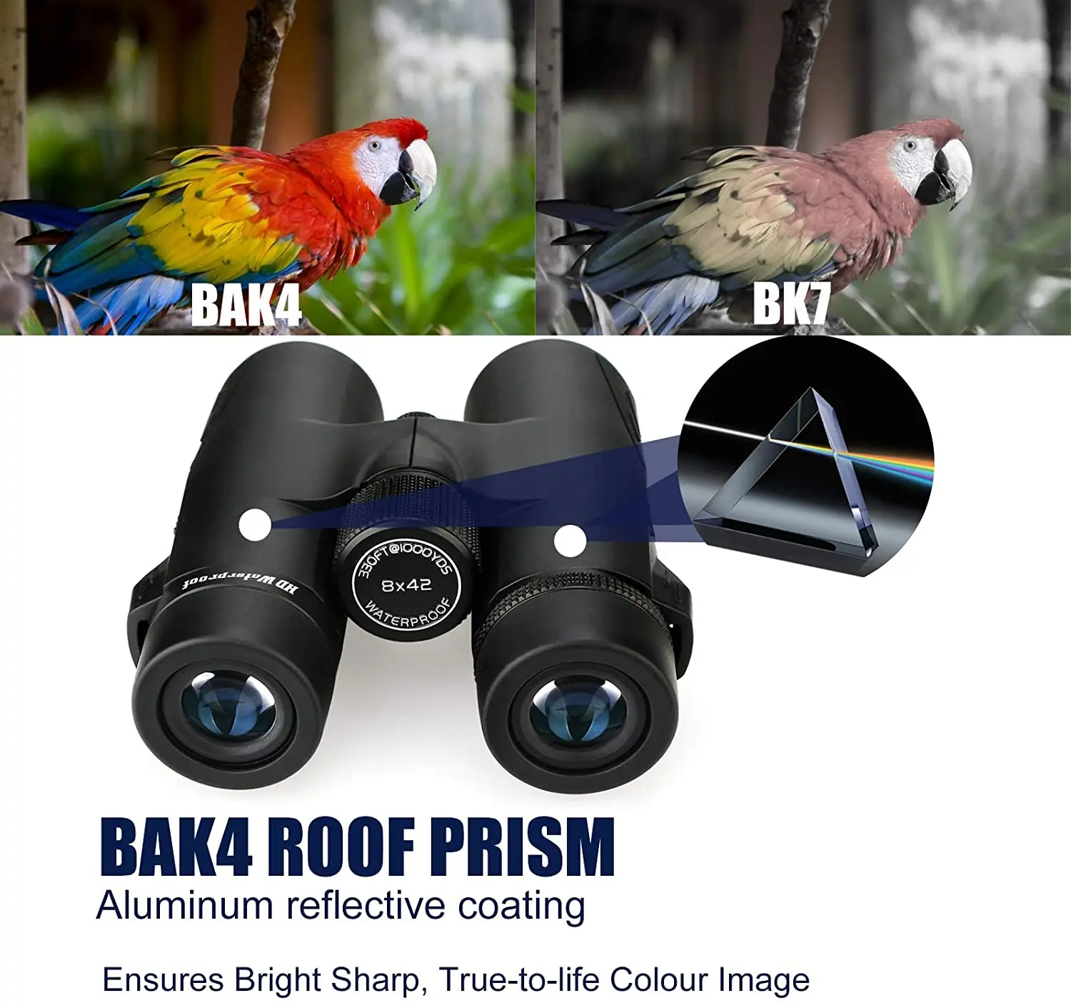 Svbony-SV47 ־Ȱ 10x42 HD    ܾ  ο, FMC  Bak4   ķο