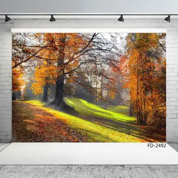 

Autumn Forest Fall Woods Maple Tree Road Portrait Children Newborn Photography Background Photographic Backdrop For Photo Studio