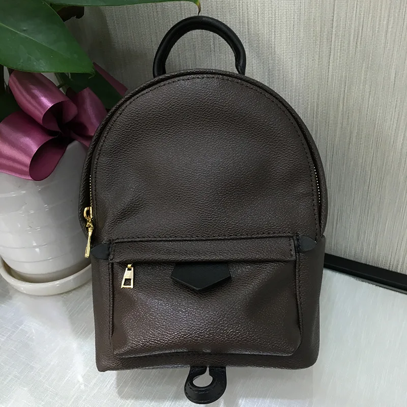 Luxury-Backpack-Authentic-Canvas-Palm-Springs-Mini-Women-Bags-Famous-Designer-Classics-Lady-Shoulder-Bag-With (2)